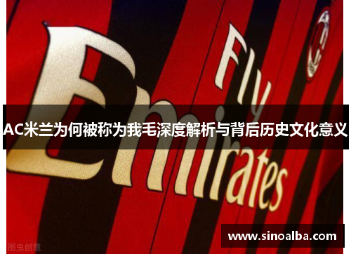 AC米兰为何被称为我毛深度解析与背后历史文化意义
